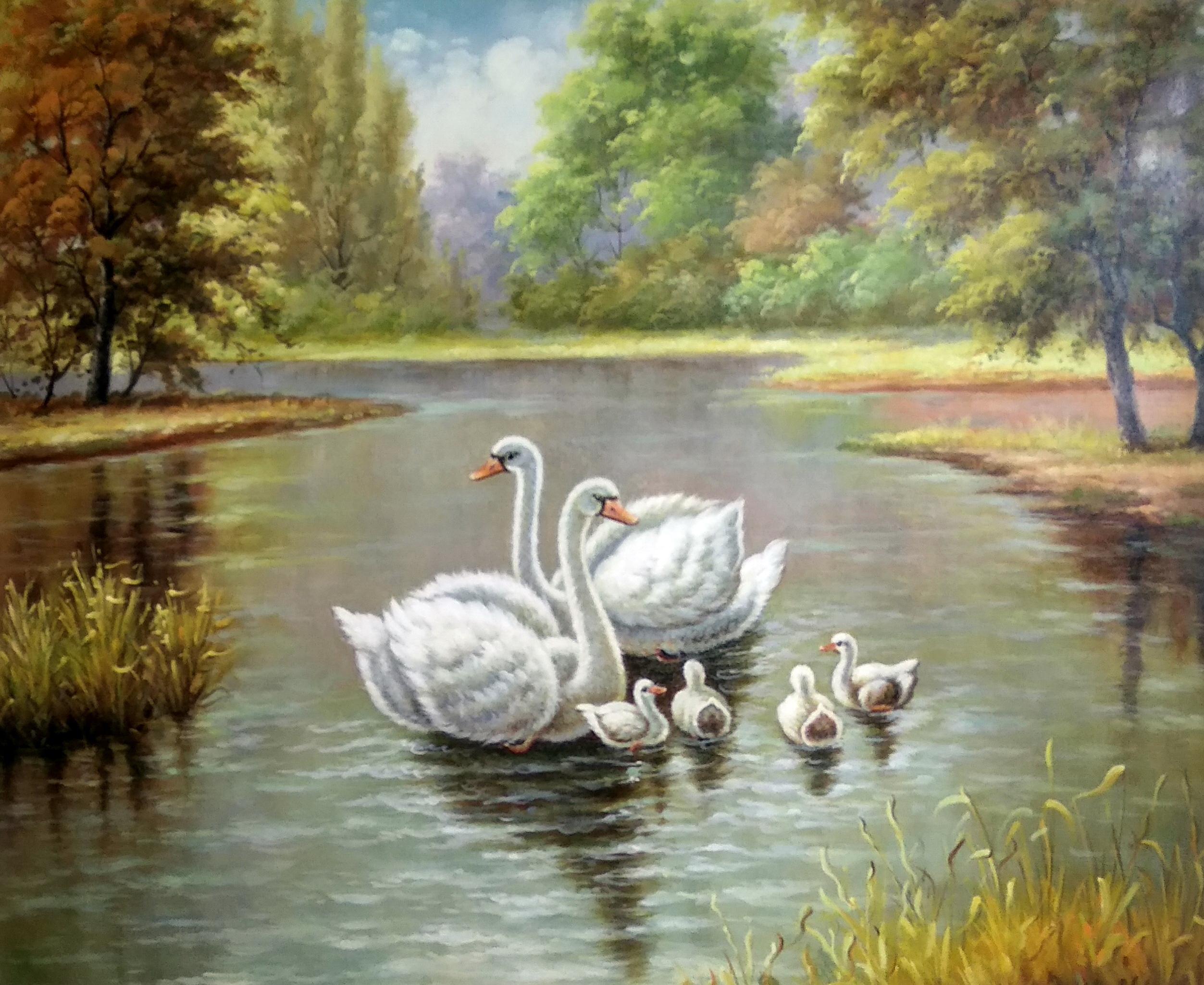 «Лебединая семья» картина 50х60 арт.5а110